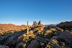 photo thumbnail #10