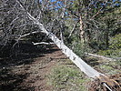 photo thumbnail #6