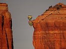 photo thumbnail #9