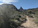 photo thumbnail #6