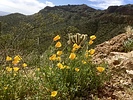 photo thumbnail #2