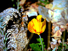 photo thumbnail #14