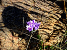 photo thumbnail #15