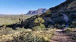 photo thumbnail #5