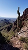 photo thumbnail #12