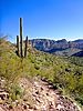 2020-02-13 :1: First Water TH to Canyon Lake :: kingsnake