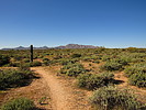 photo thumbnail #4