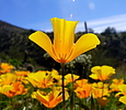 photo thumbnail #13