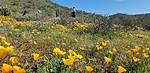 photo thumbnail #6