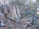 photo thumbnail #7