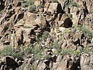 photo thumbnail #15