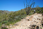 photo thumbnail #2