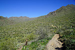 photo thumbnail #3