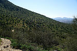 photo thumbnail #4