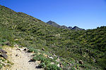 photo thumbnail #5