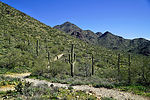 photo thumbnail #8