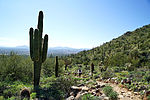 photo thumbnail #10