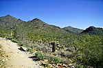photo thumbnail #11