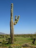 photo thumbnail #1