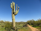 photo thumbnail #5