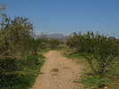 photo thumbnail #6