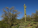 photo thumbnail #9