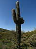photo thumbnail #10