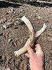 photo thumbnail #1