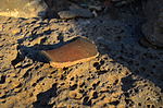 photo thumbnail #5