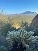 photo thumbnail #6