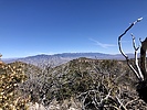 photo thumbnail #9