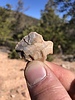 photo thumbnail #3