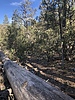 photo thumbnail #5