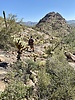 photo thumbnail #10