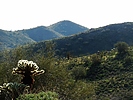 photo thumbnail #3