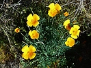 photo thumbnail #15