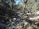 photo thumbnail #1