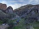 photo thumbnail #6