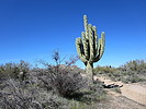 photo thumbnail #9