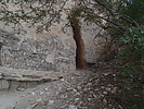 photo thumbnail #4