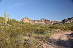 photo thumbnail #1