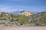 photo thumbnail #7