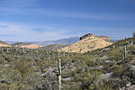 photo thumbnail #8