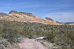 photo thumbnail #9