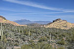 photo thumbnail #10