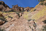 photo thumbnail #14