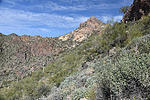 photo thumbnail #6