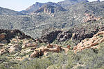 photo thumbnail #7