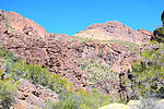 photo thumbnail #13