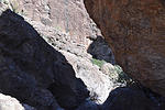 photo thumbnail #14